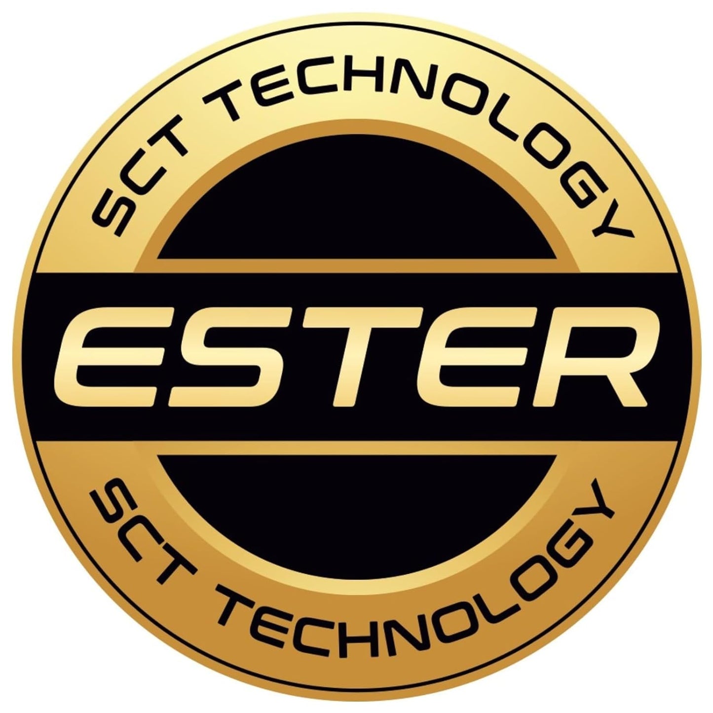 MANNOL 9910 Windshield Sealant | Window Repair Sealant | Car Window Sealant | Window Crack Sealant | Window Glass Sealant | Imported From Germany(310ml)