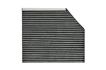 SCT SAK 199 Charcoal Filter| Imported from Germany